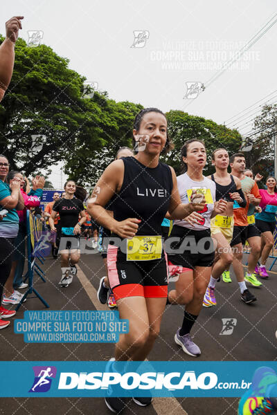 Circuito SESC de Corrida de Rua 2024 - Apucarana 