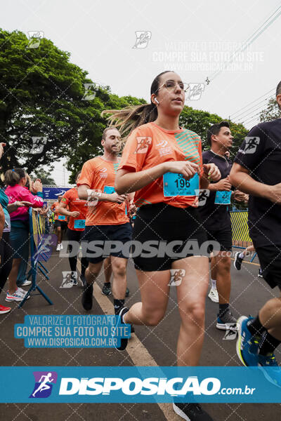 Circuito SESC de Corrida de Rua 2024 - Apucarana 