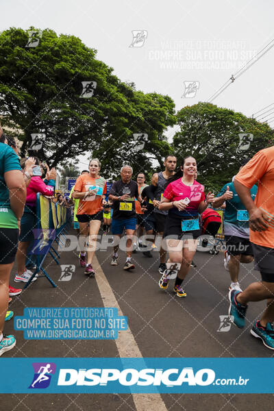 Circuito SESC de Corrida de Rua 2024 - Apucarana 