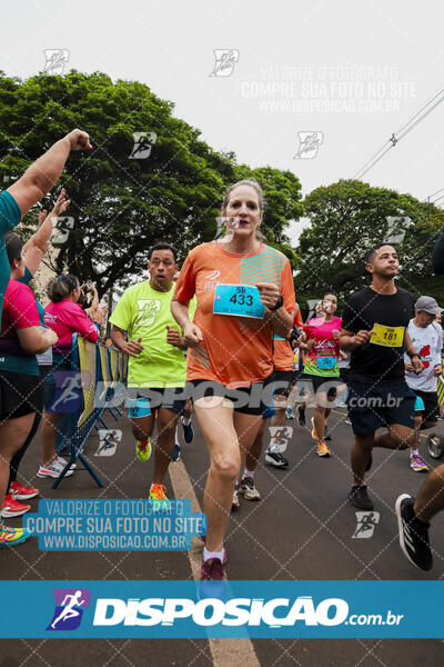 Circuito SESC de Corrida de Rua 2024 - Apucarana 