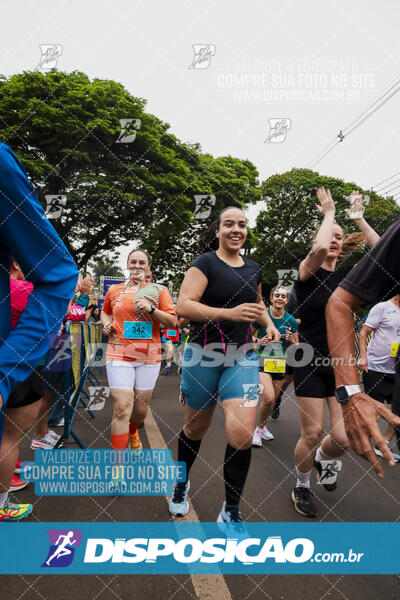 Circuito SESC de Corrida de Rua 2024 - Apucarana 