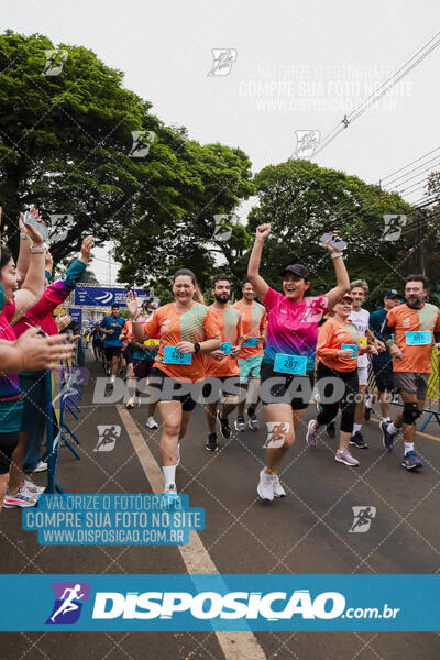 Circuito SESC de Corrida de Rua 2024 - Apucarana 