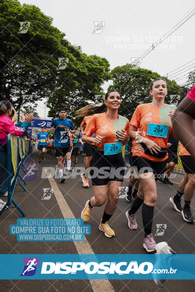 Circuito SESC de Corrida de Rua 2024 - Apucarana 