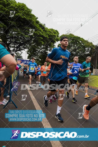 Circuito SESC de Corrida de Rua 2024 - Apucarana 