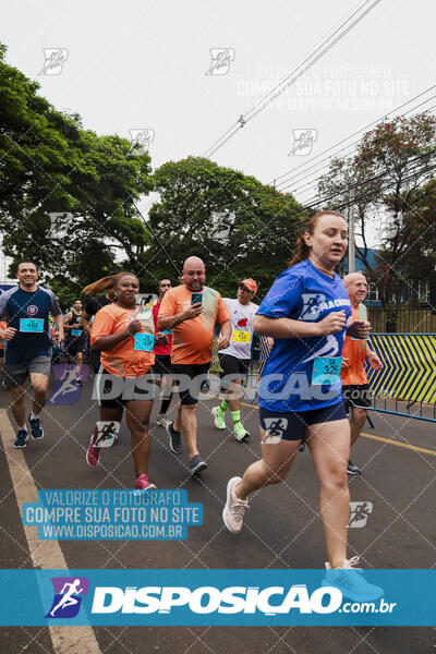 Circuito SESC de Corrida de Rua 2024 - Apucarana 