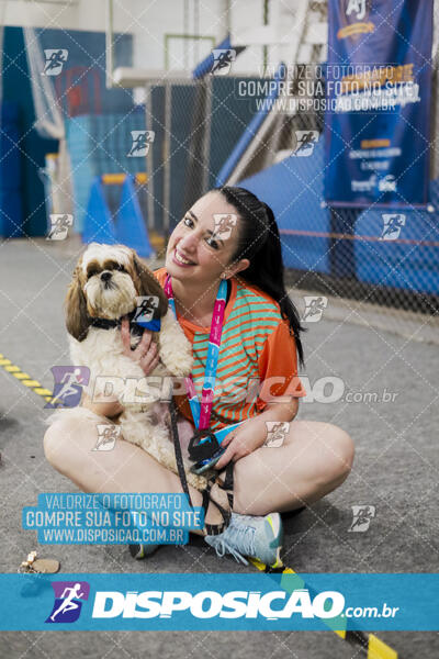 Circuito SESC de Corrida de Rua 2024 - Apucarana 