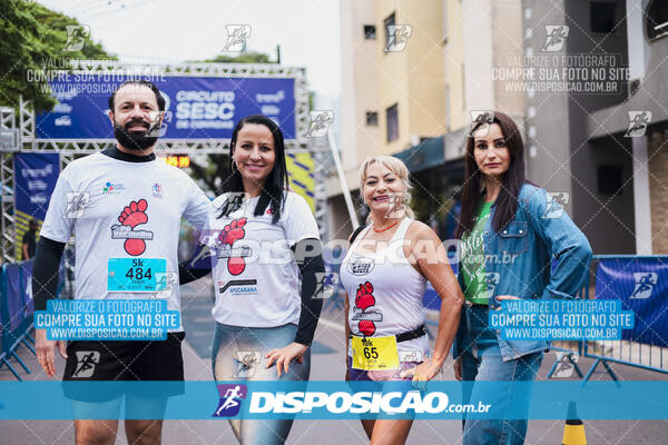 Circuito SESC de Corrida de Rua 2024 - Apucarana 