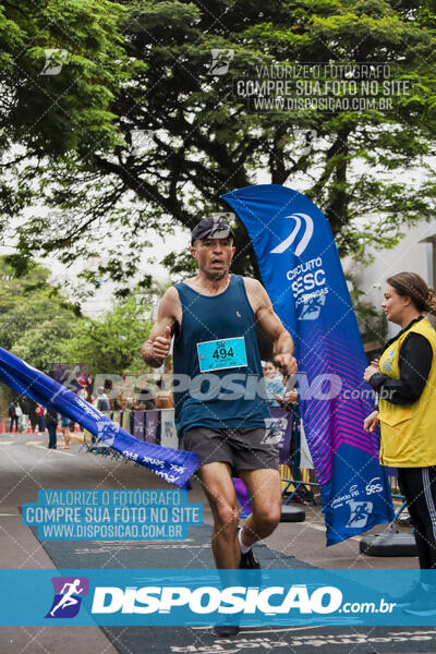 Circuito SESC de Corrida de Rua 2024 - Apucarana 