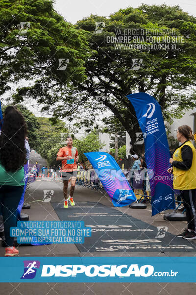 Circuito SESC de Corrida de Rua 2024 - Apucarana 