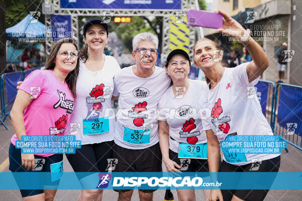 Circuito SESC de Corrida de Rua 2024 - Apucarana 