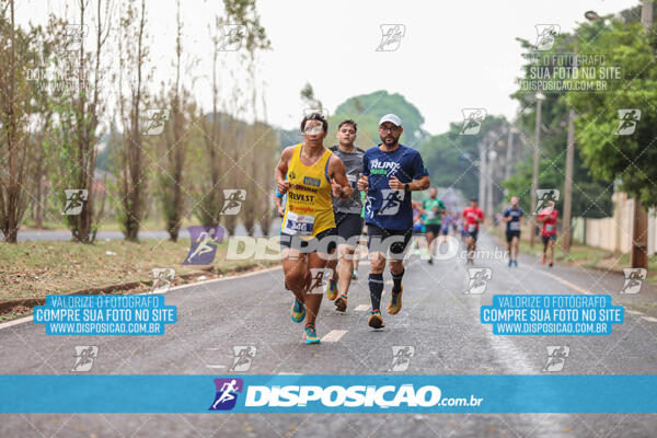 Farmácias São Paulo Run