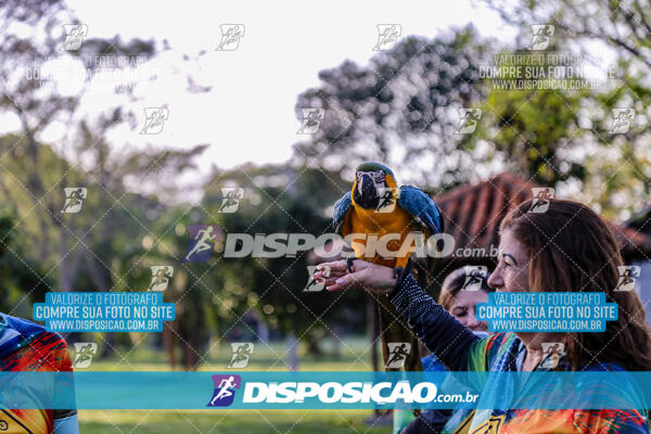 1º Ciclotur & XCO Cross Country Morro do Diabo