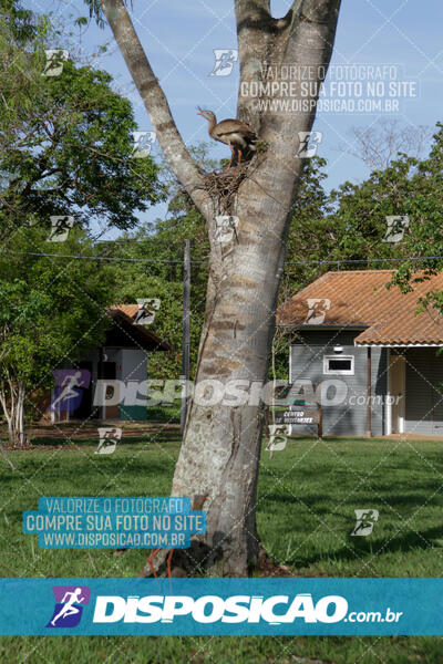 1º Ciclotur & XCO Cross Country Morro do Diabo