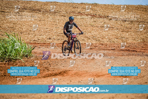 CIRCUITO MTB ACPRAFER 2024