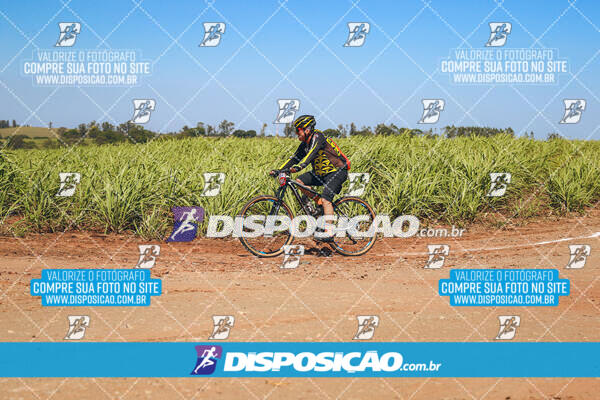 CIRCUITO MTB ACPRAFER 2024