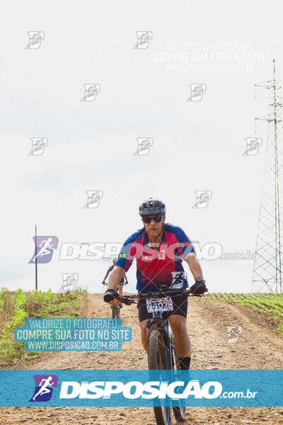 Pedala Paraná - Rota do Caramuru 2024