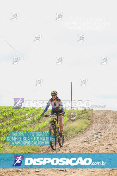 Pedala Paraná - Rota do Caramuru 2024