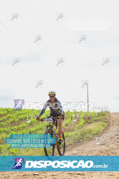 Pedala Paraná - Rota do Caramuru 2024