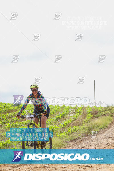 Pedala Paraná - Rota do Caramuru 2024