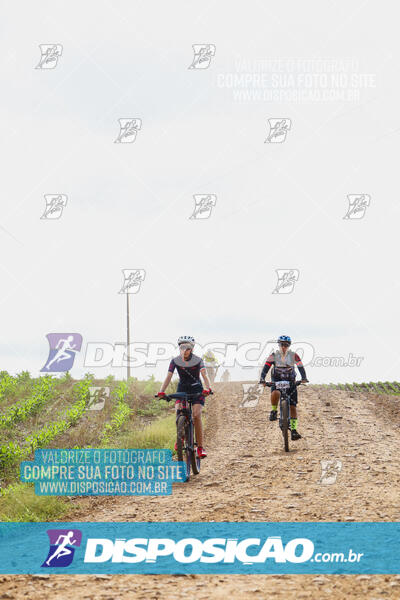 Pedala Paraná - Rota do Caramuru 2024