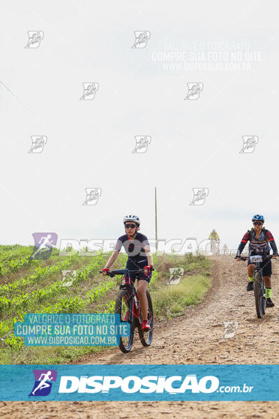 Pedala Paraná - Rota do Caramuru 2024