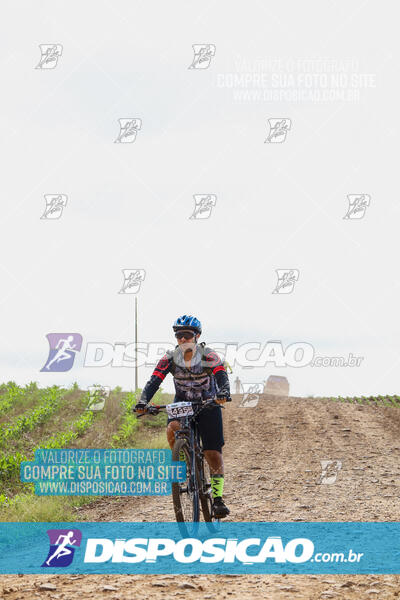 Pedala Paraná - Rota do Caramuru 2024