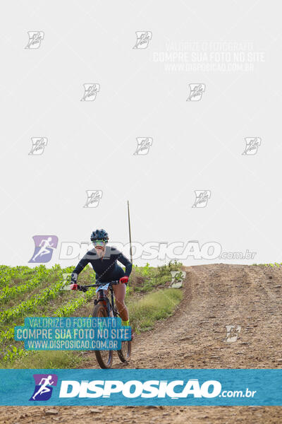 Pedala Paraná - Rota do Caramuru 2024