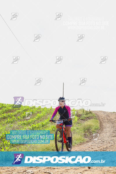 Pedala Paraná - Rota do Caramuru 2024