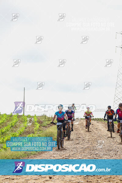 Pedala Paraná - Rota do Caramuru 2024