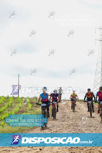 Pedala Paraná - Rota do Caramuru 2024