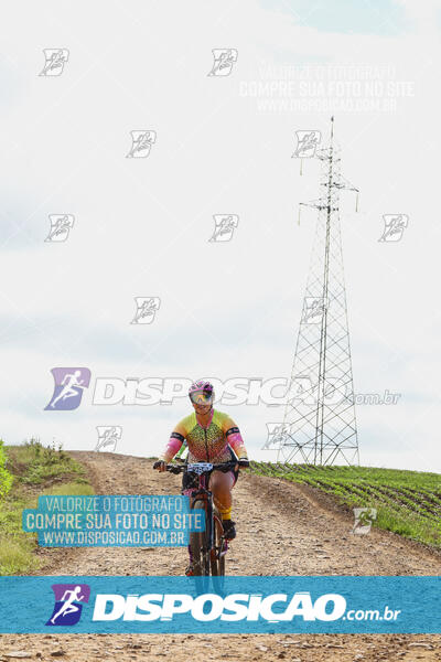 Pedala Paraná - Rota do Caramuru 2024