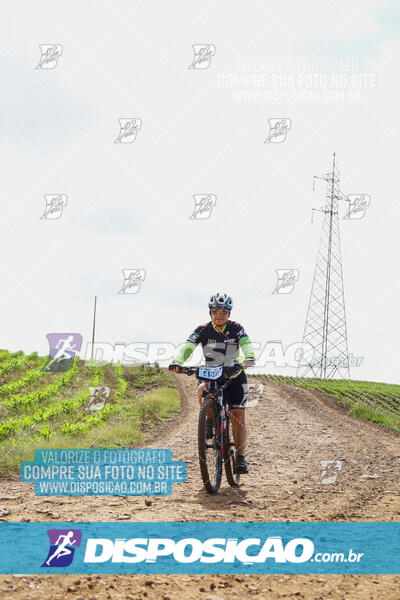 Pedala Paraná - Rota do Caramuru 2024