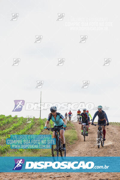 Pedala Paraná - Rota do Caramuru 2024