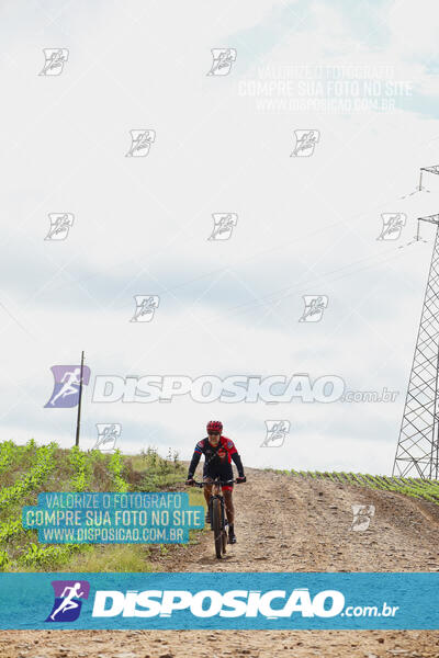 Pedala Paraná - Rota do Caramuru 2024