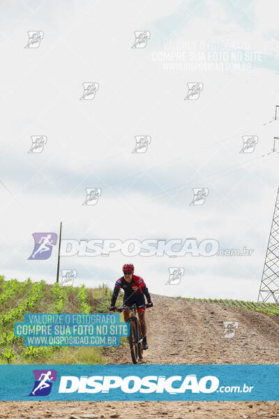 Pedala Paraná - Rota do Caramuru 2024