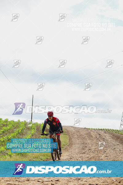 Pedala Paraná - Rota do Caramuru 2024