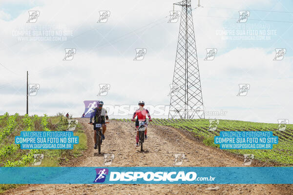 Pedala Paraná - Rota do Caramuru 2024