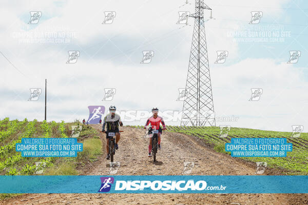 Pedala Paraná - Rota do Caramuru 2024