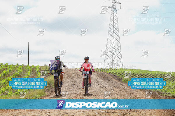 Pedala Paraná - Rota do Caramuru 2024