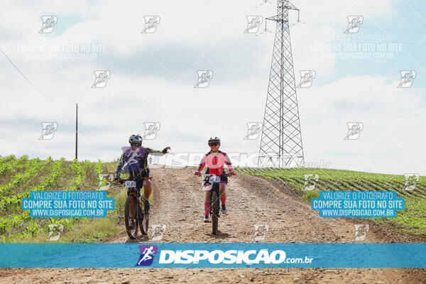 Pedala Paraná - Rota do Caramuru 2024