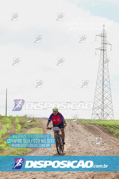 Pedala Paraná - Rota do Caramuru 2024