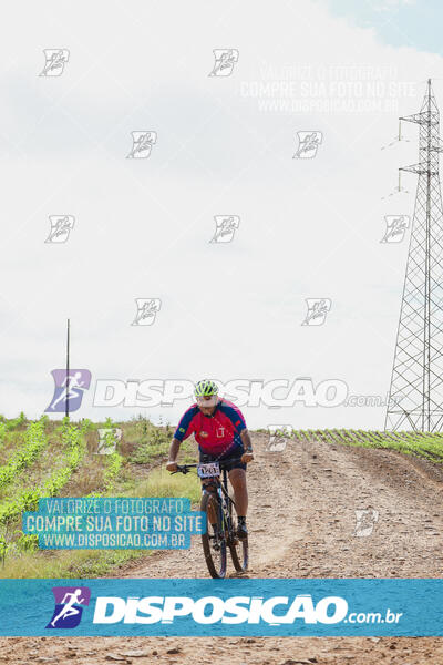 Pedala Paraná - Rota do Caramuru 2024