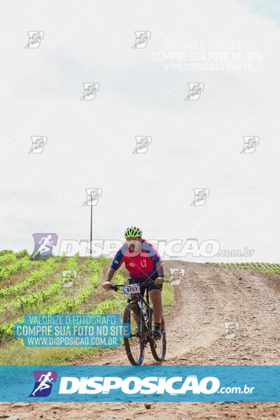 Pedala Paraná - Rota do Caramuru 2024