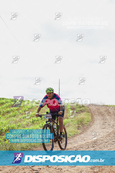 Pedala Paraná - Rota do Caramuru 2024