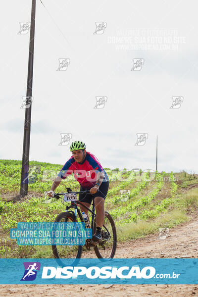 Pedala Paraná - Rota do Caramuru 2024