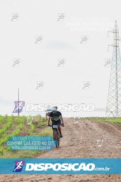 Pedala Paraná - Rota do Caramuru 2024