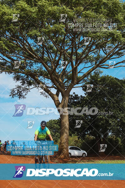 Pedala Paraná - Rota do Caramuru 2024