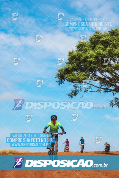 Pedala Paraná - Rota do Caramuru 2024