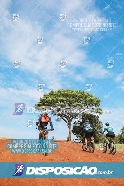 Pedala Paraná - Rota do Caramuru 2024