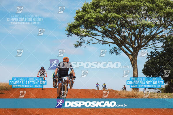 Pedala Paraná - Rota do Caramuru 2024